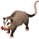 Zincwolf Zincwolf's Avatar