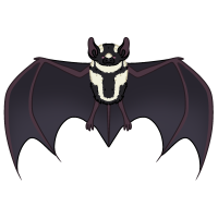 Thumbnail for ANI-081: Nosferatu