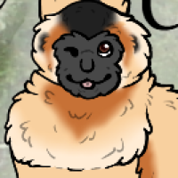 Thumbnail image for ANI-148: Honey
