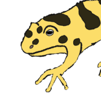 Thumbnail for ANI-158: Goldie