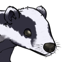 Thumbnail image for ANI-164: Humbug - European Badger (F)