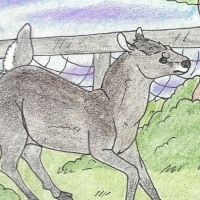 Thumbnail for ANI-189: Tufted Deer (F)