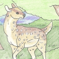Thumbnail for ANI-201: Chital (F)