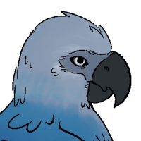 Thumbnail image for ANI-230: Spix's Macaw (F)