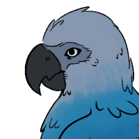 Thumbnail image for ANI-231: Spix's Macaw (M)