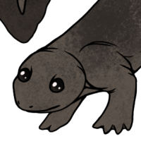 Thumbnail of ANI-1820: muppy