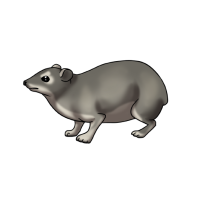 Thumbnail image for ANI-1836: Potato