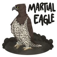 Thumbnail of ANI-1862: Morgana - Martial Eagle (F)