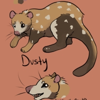 Thumbnail for ANI-1997: Dusty