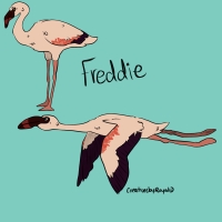 Thumbnail for ANI-1998: Freddie