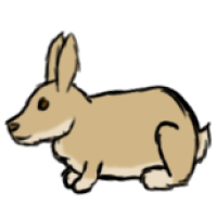 Thumbnail image for ANI-2039: Willow