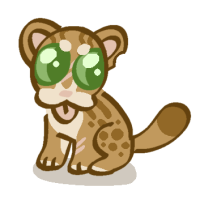 Thumbnail for ANI-2068: Rusty Spotted Cat (F)