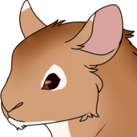 Thumbnail image for ANI-2152: Lucas