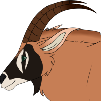 Thumbnail image for ANI-2153: Kwesi