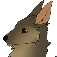 Thumbnail image for ANI-2154: Cloe