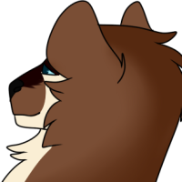 Thumbnail image for ANI-2155: Bo
