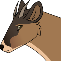 Thumbnail image for ANI-2156: Alex