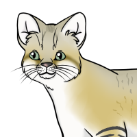 Thumbnail image for ANI-2173: Amira