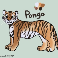 Thumbnail for ANI-2205: Pongo