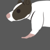 Thumbnail image for ANI-2337: Faster (F)