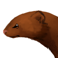 Thumbnail image for ANI-2345: Pecan