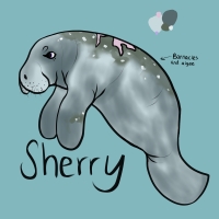 Thumbnail for ANI-2352: Sherry