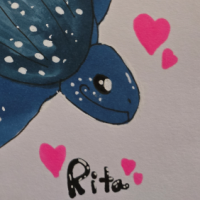 Thumbnail for ANI-2378: rita