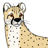 Thumbnail image for ANI-2478: Masozi