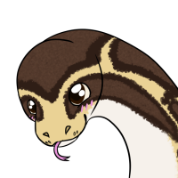 Thumbnail image for ANI-2611: Burmese Python (M)