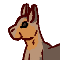 Thumbnail for ANI-2636: Patagonian Mara (M)