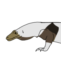 Thumbnail for ANI-2649: Komodo Dragon (M)