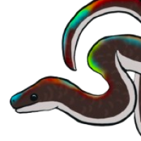 Thumbnail for ANI-2660: Sunbeam Snake (F)
