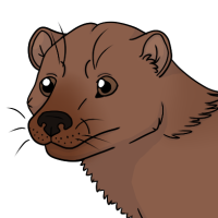Thumbnail for ANI-2922: Porkchop