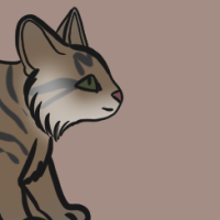 Thumbnail for ANI-2986: Pallas Cat (F)