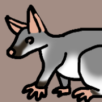 Thumbnail for ANI-3008: Common Brushtail Possum (F)