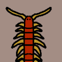 Thumbnail of ANI-3010: Eastern Red Centipede (F)