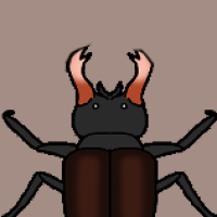 Thumbnail for ANI-3040: Stag Beetle (F)