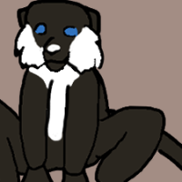 Thumbnail for ANI-3041: Red-Tailed Monkey (M)