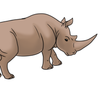 Thumbnail for ANI-3045: White Rhinoceros (F)