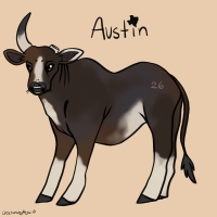 Thumbnail for ANI-3047: Austin