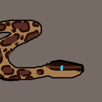 Thumbnail for ANI-3050: Burmese Python (F)