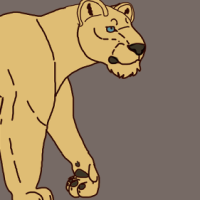 Thumbnail for ANI-3051: African Lion (F)