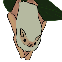 Thumbnail for ANI-3054: Ghost Bat (F)