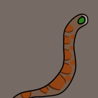 Thumbnail for ANI-3057: Corn Snake (M)