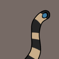 Thumbnail for ANI-3059: Stephens's Banded Snake (M)