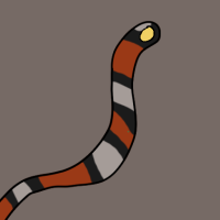 Thumbnail for ANI-3065: Milk Snake (F)