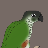 Thumbnail for ANI-3092: Conure (M)