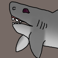 Thumbnail for ANI-3095: Great White Shark (F)