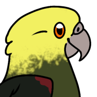 Thumbnail for ANI-3103: Rocky