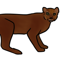 Thumbnail for ANI-3112: Bay Cat (M)